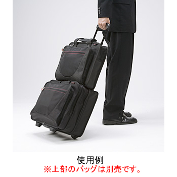 200-BAG007 �X�C�X�E�g���x���E�v���_�N�c �L�����[�o�b�O Lugano Frequent Flyer�̏��i�摜5