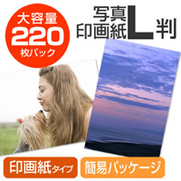 NEO-JP012 �ʐ^��掆(L���@����220������)