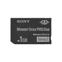 MS-MT1G �������[�X�e�B�b�N PRO �f���I 1GB