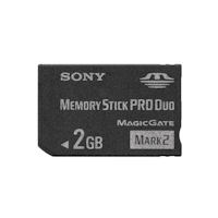 MS-MT2G �������[�X�e�B�b�N PRO �f���I 2GB