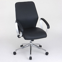 RZE-A108BK �G�O�[�N�e�B�u�`�F�A (�u���b�N)